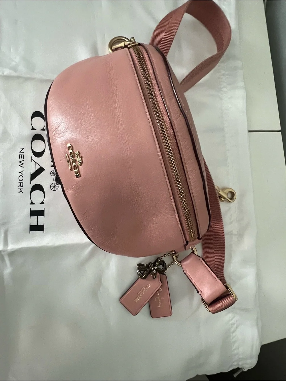 Selena Gomez X Coach limited edition belt bag